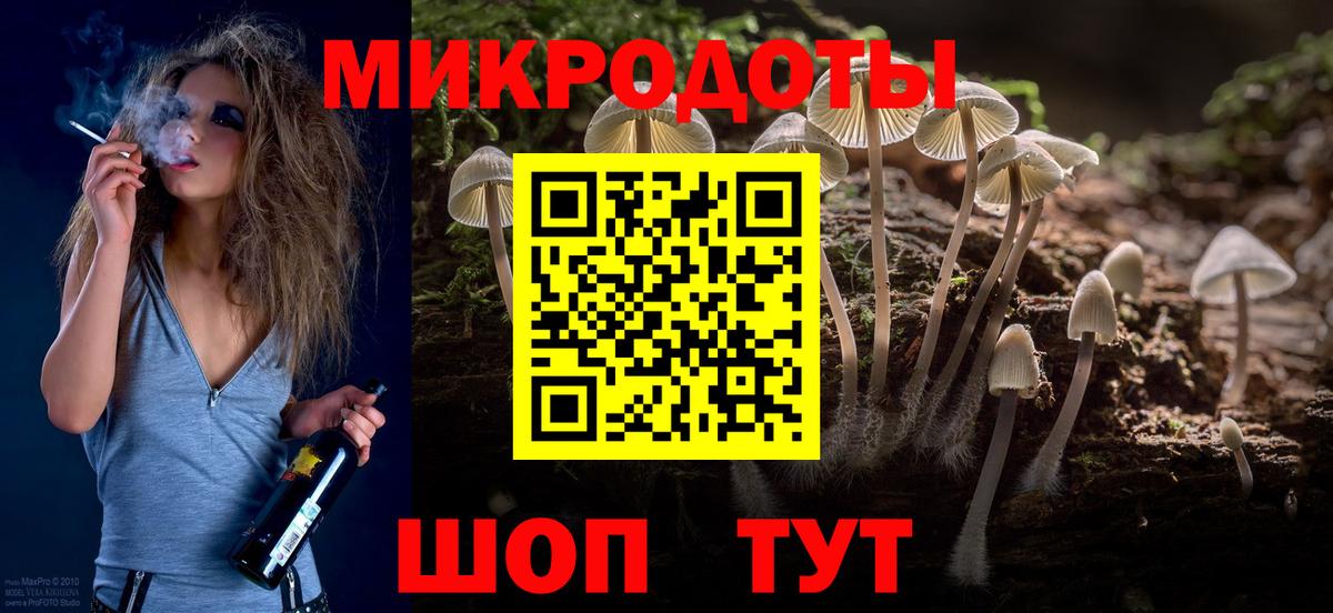 Псилоцибиновые грибы мицелий Урус-Мартан